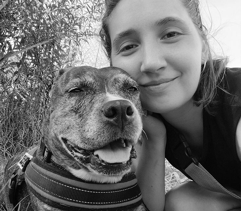 Proyecto La Bambiña