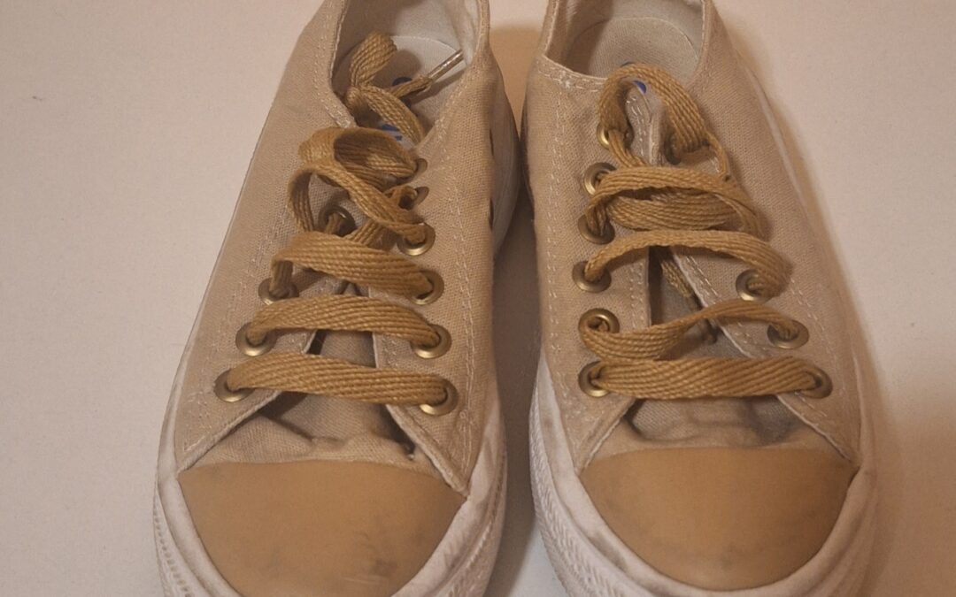 Zapatillas