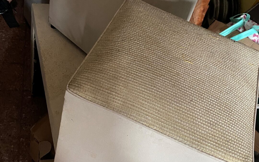 Set mesa ratona + 2 puff