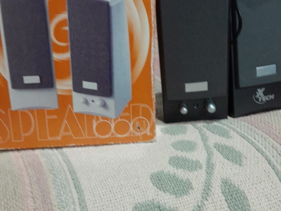 Parlantes de computadora