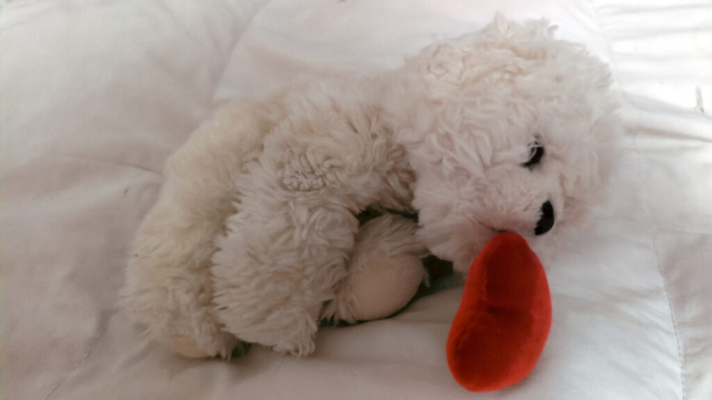 Peluche Perrito