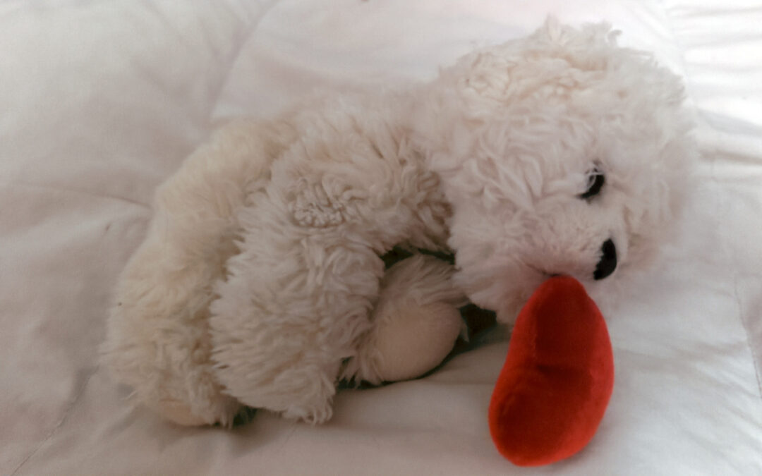 Peluche Perrito