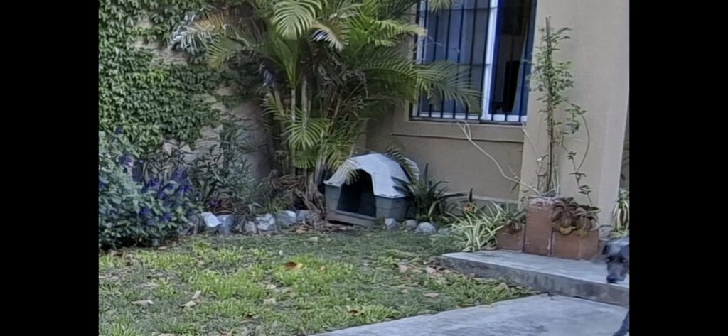 Casita para perro mediano