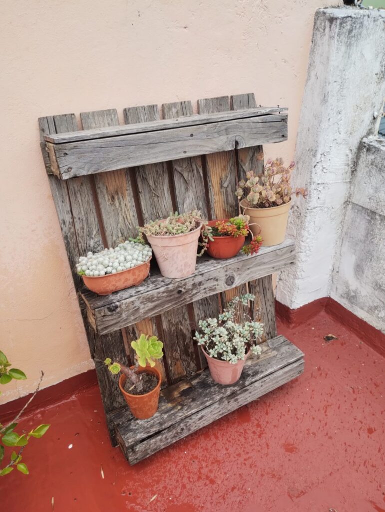Palet con estantes para macetas!