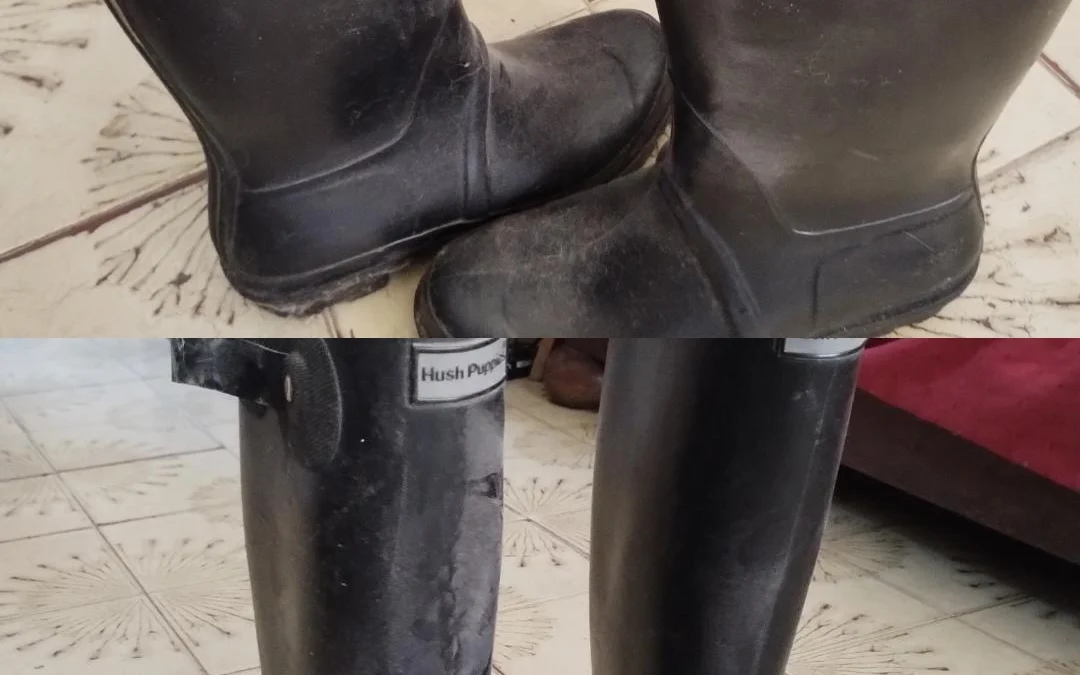 Botas de lluvia