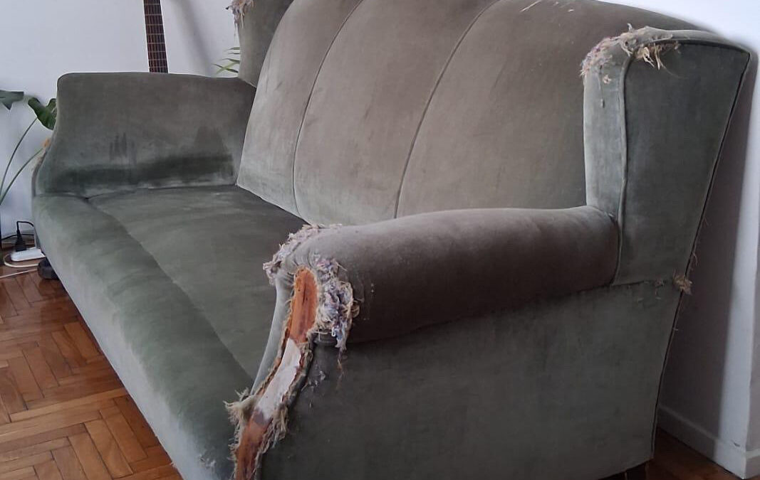 Sillón