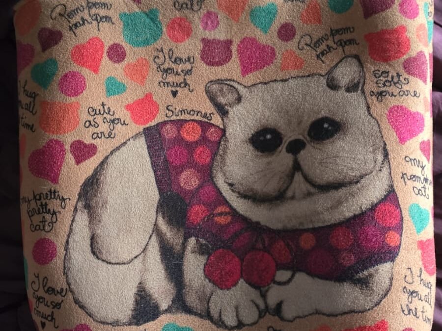 bolso