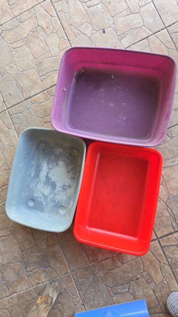 bandejas sanitarias gatos