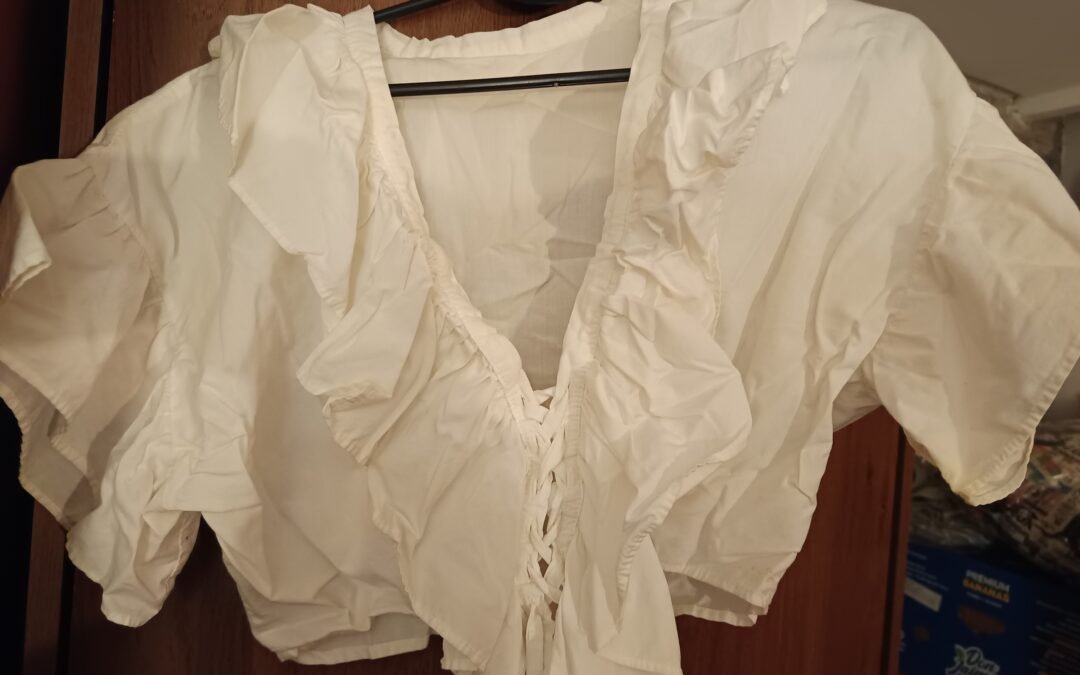Blusa